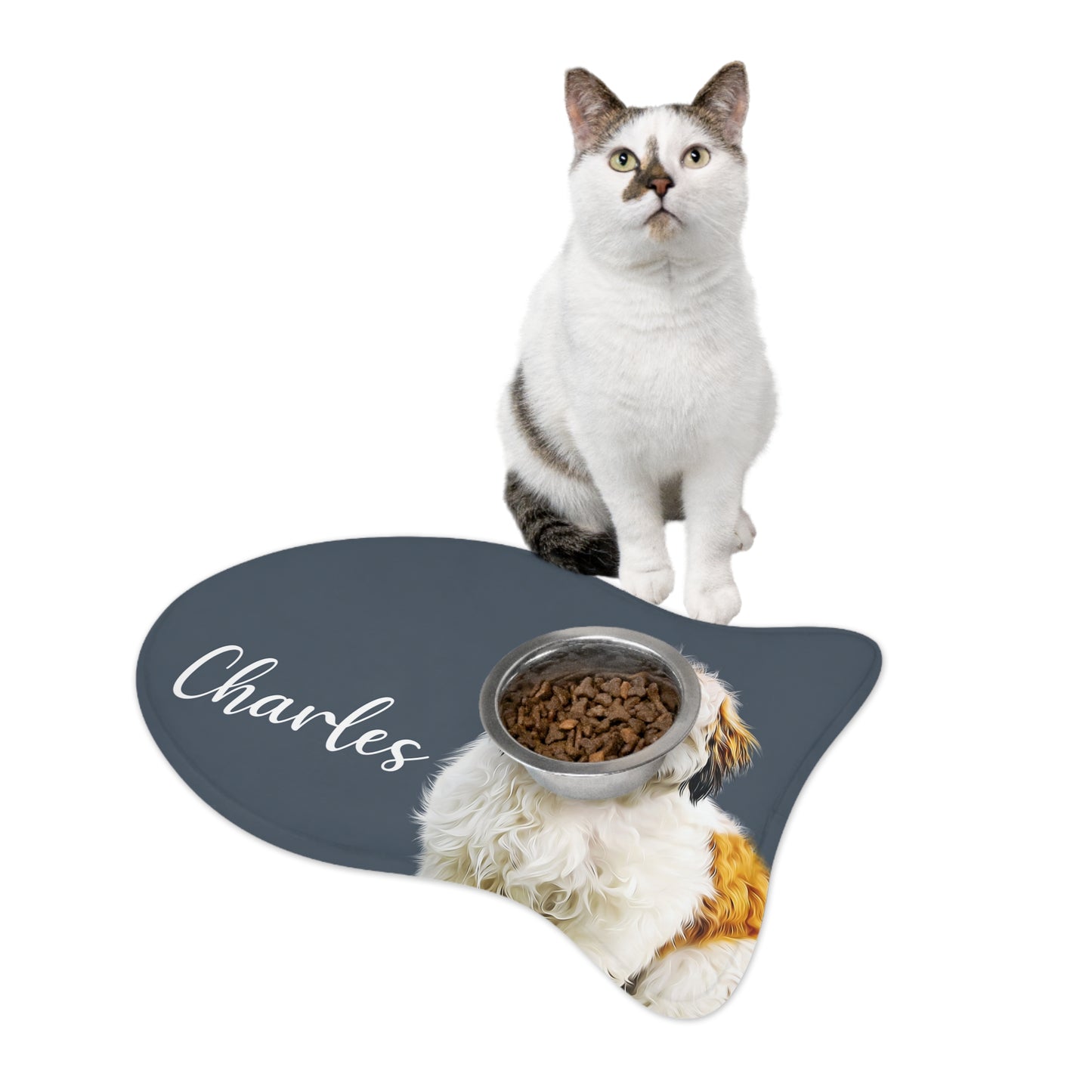 Pet Feeding Mats