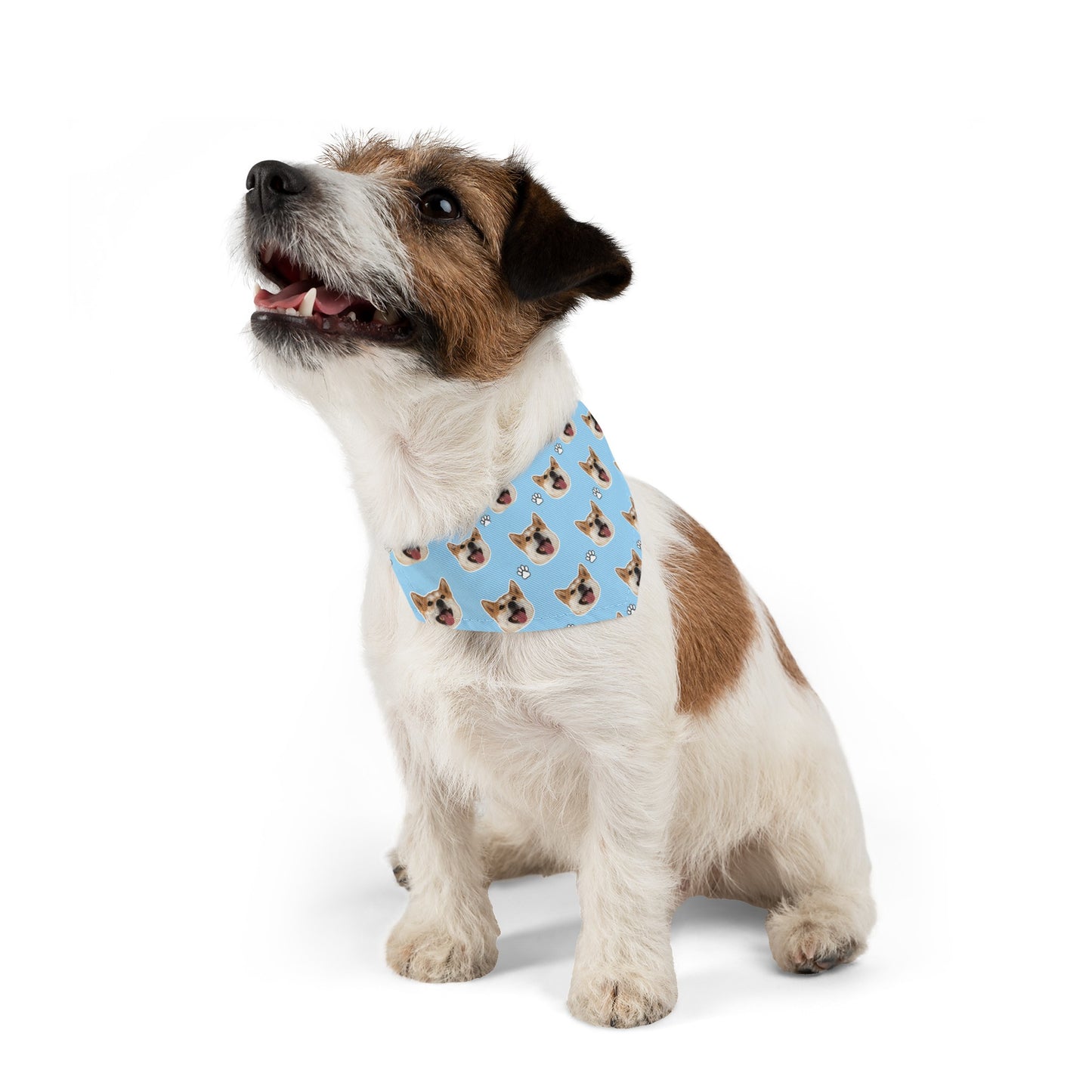 Pet Bandana Collar